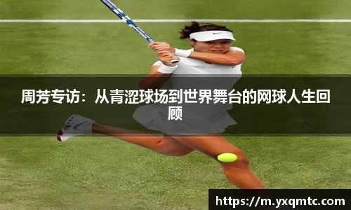 3377体育官网