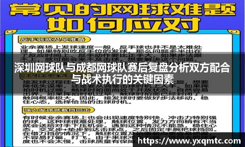 3377体育中国官方网站入口
