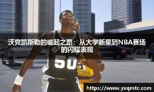 3377体育官网入口直播