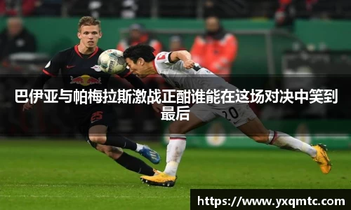 3377体育官网