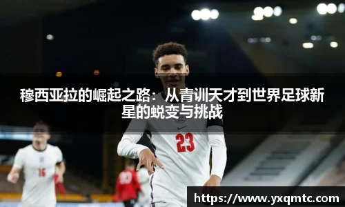 3377体育官网