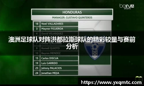 3377体育