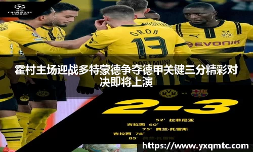 3377体育官网入口直播