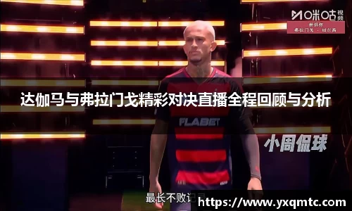 3377体育官网入口直播