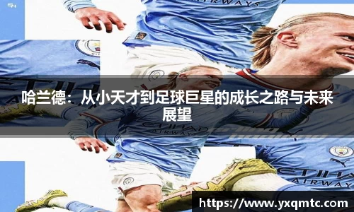3377体育中国官方网站入口