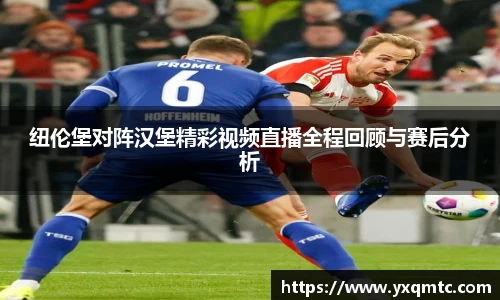 3377体育中国官方网站入口