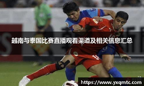 3377体育官网入口直播