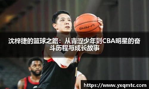 3377体育官网入口直播