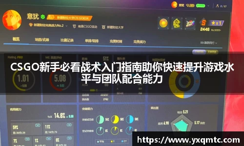 3377体育