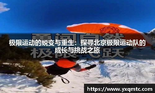 3377体育官网入口直播