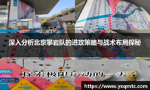 3377体育官网入口直播
